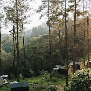 Bobocabin Padusan